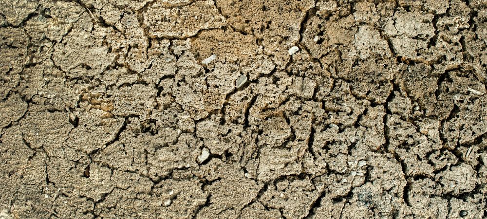 suolo arido