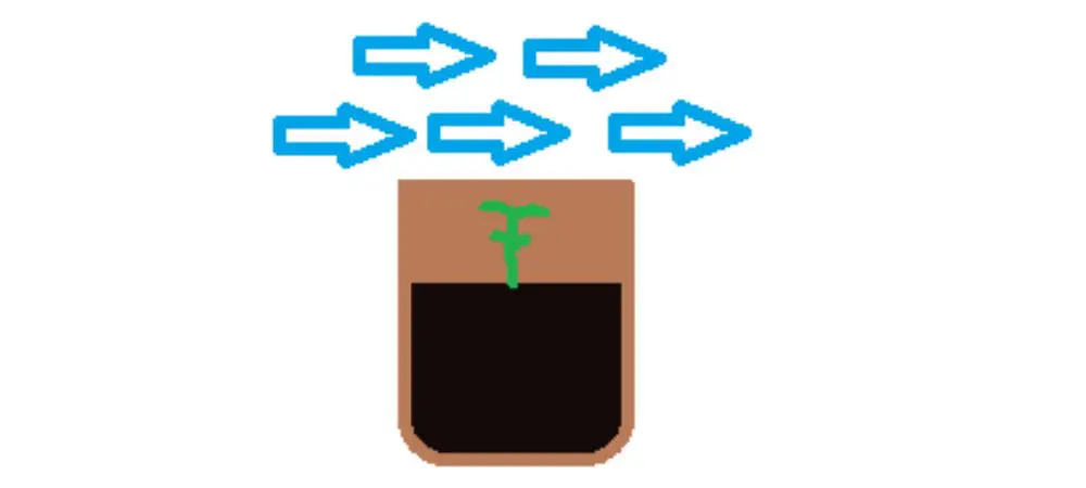 how full should flowerpots be
