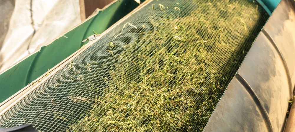 macchine per trimmare la marijuana