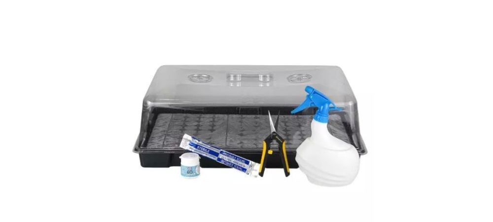 Kit para clones de Boom Nutrients