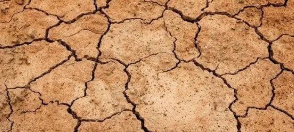 What is Super Soil