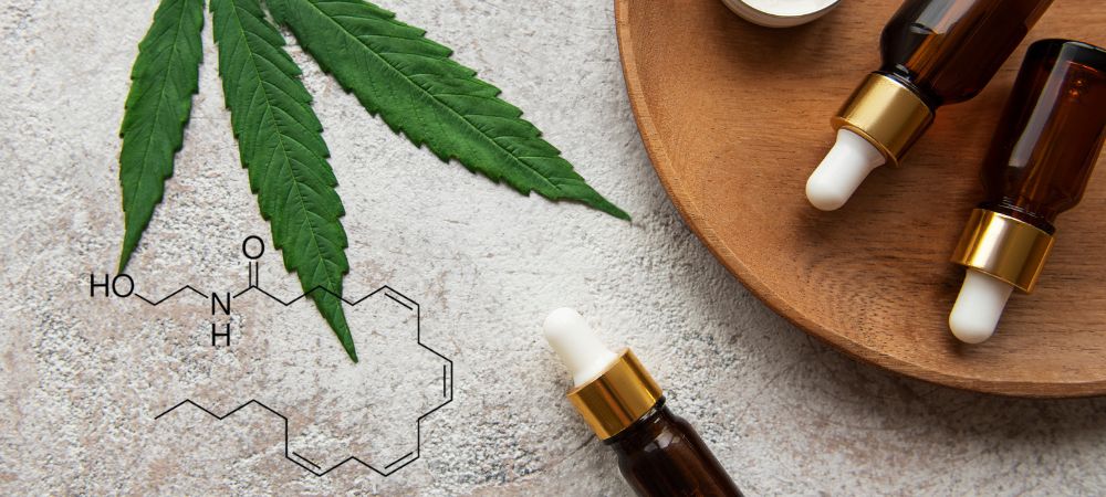 Anandamida e CBD