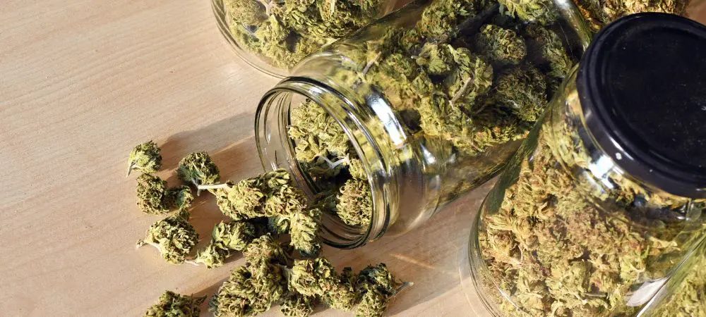 Medical cannabis for Fibromyalgia