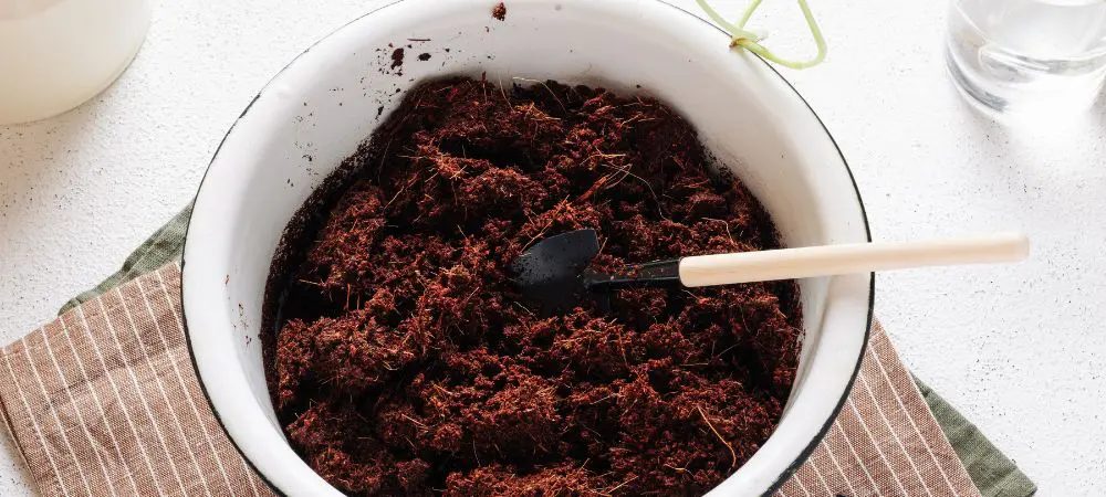Advantages and disadvantages of using Super Soil