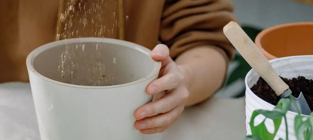 What is Super Soil What is Super Soil