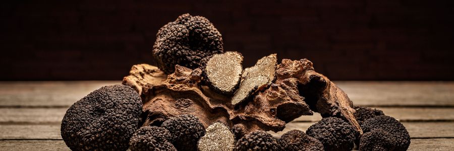 Noticias Cannábicas