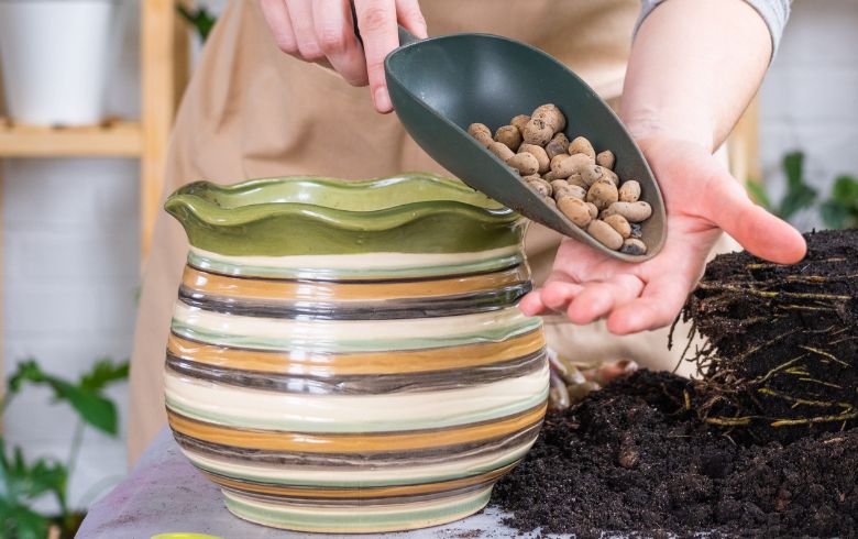 Noticias Cannábicas