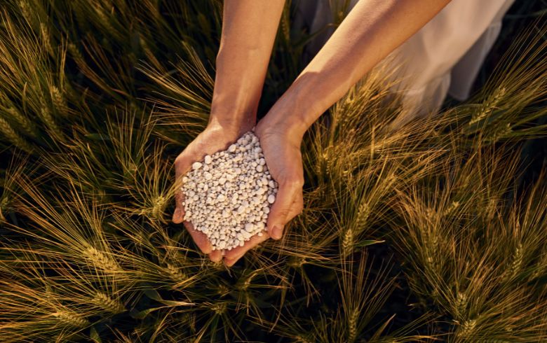 Noticias Cannábicas