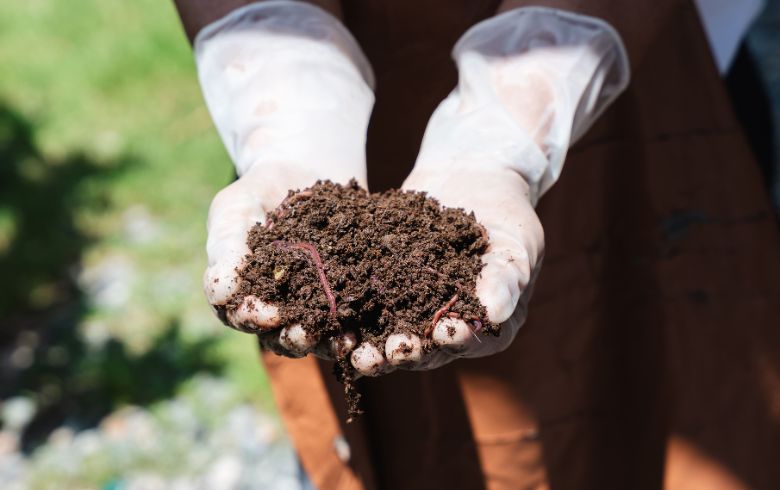 Noticias Cannábicas