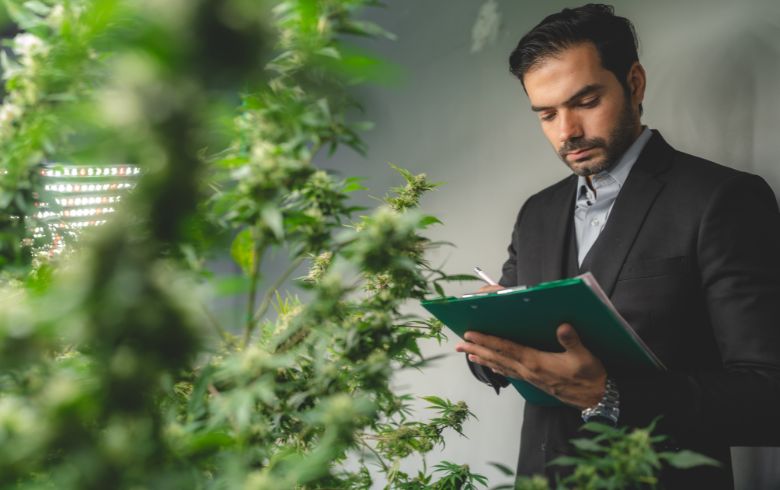 Noticias Cannábicas