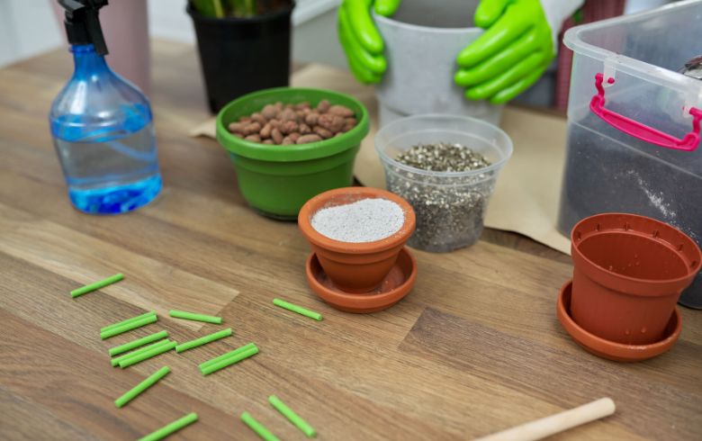 Noticias Cannábicas