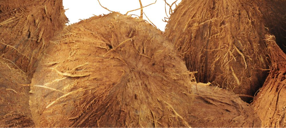 Sustrato de fibra de coco