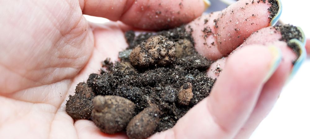 Types of substrates for cultivation