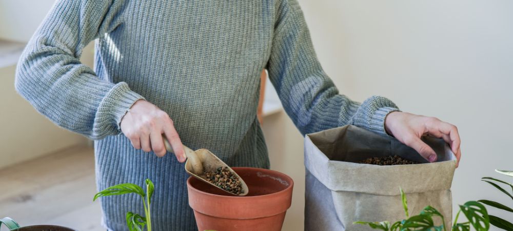 Tipos de sustratos para cultivo
