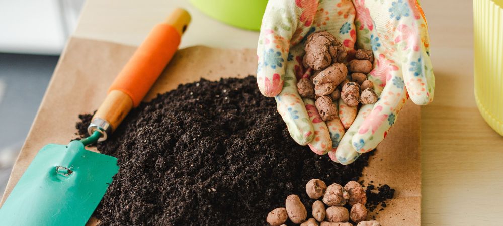 Expanded clay: its uses in cultivation
