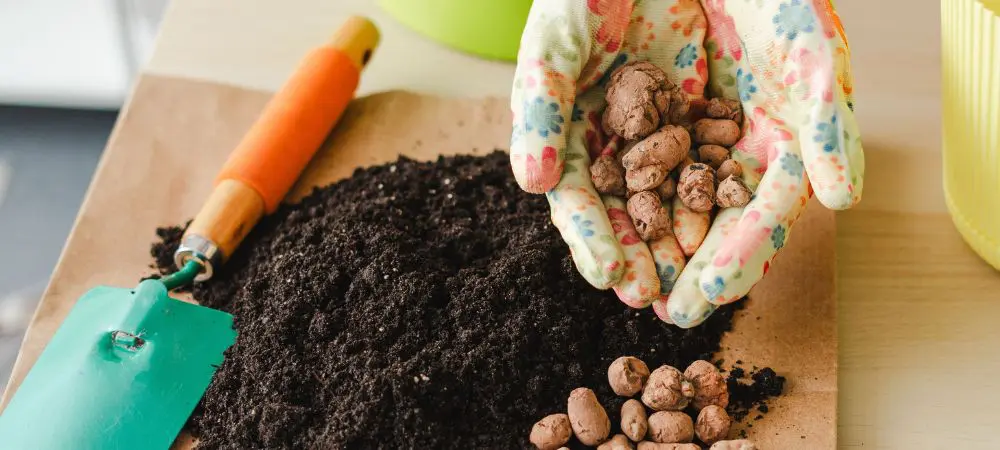 Argila expandida: para que serve no cultivo