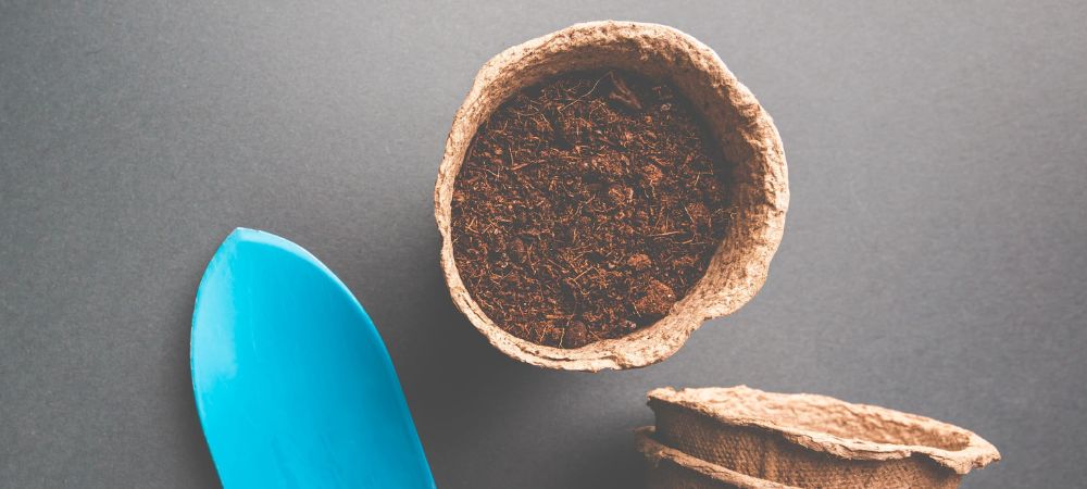 fibra de coco com terra