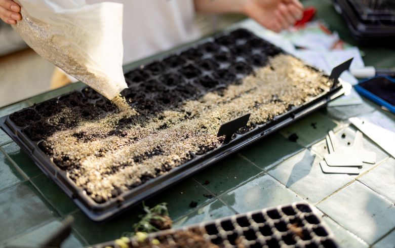 Noticias Cannábicas