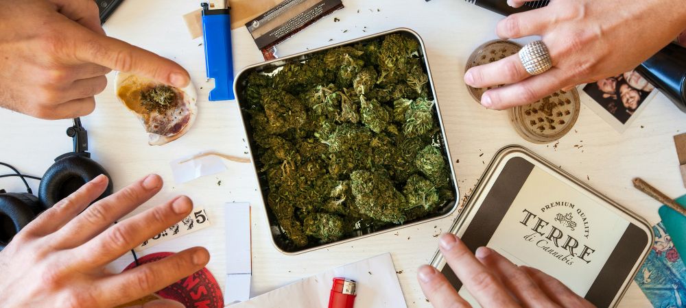 Asociación cannabis Valencia