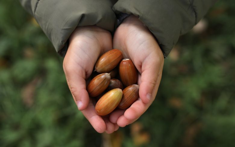 Noticias Cannábicas