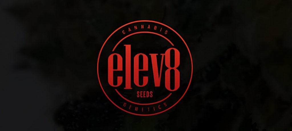 Elev8 Seeds