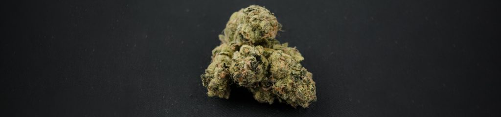 semi di cannabis più potenti
