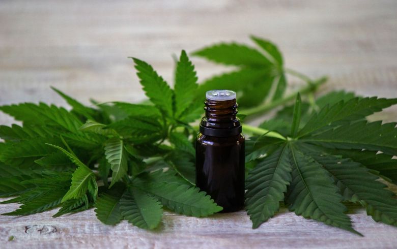 Noticias Cannábicas