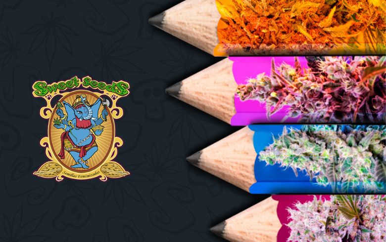 Noticias Cannábicas