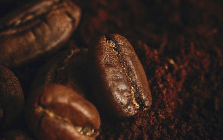 Noticias Cannábicas