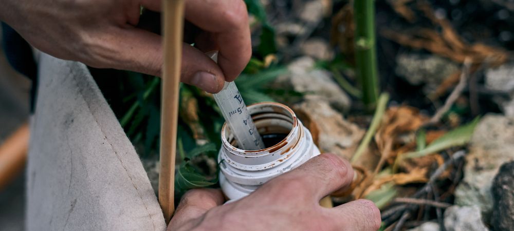 abono para floración de cannabis