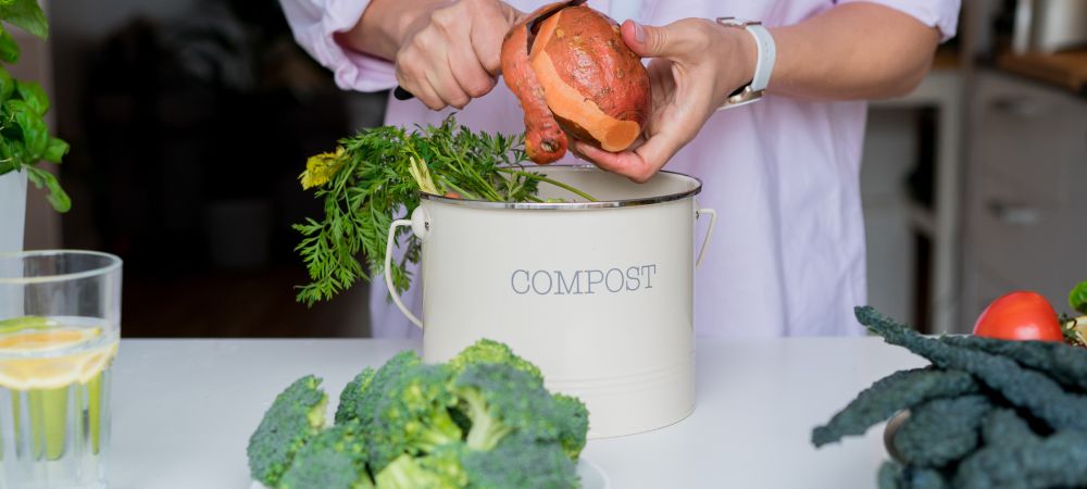fertilizante casero con compost
