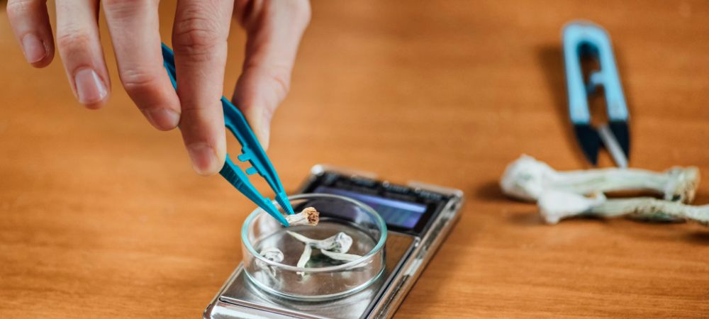 Microdose de champignons magiques