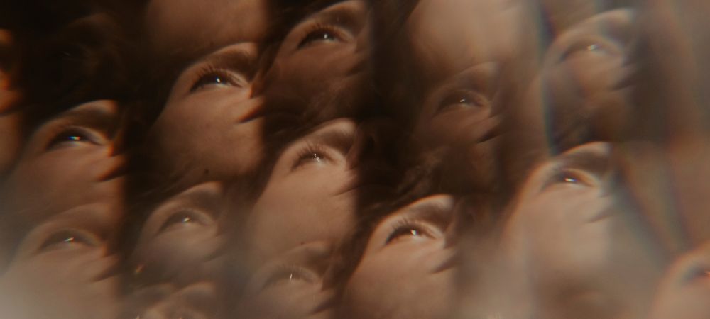 Effets du Panaeolus cyanescens