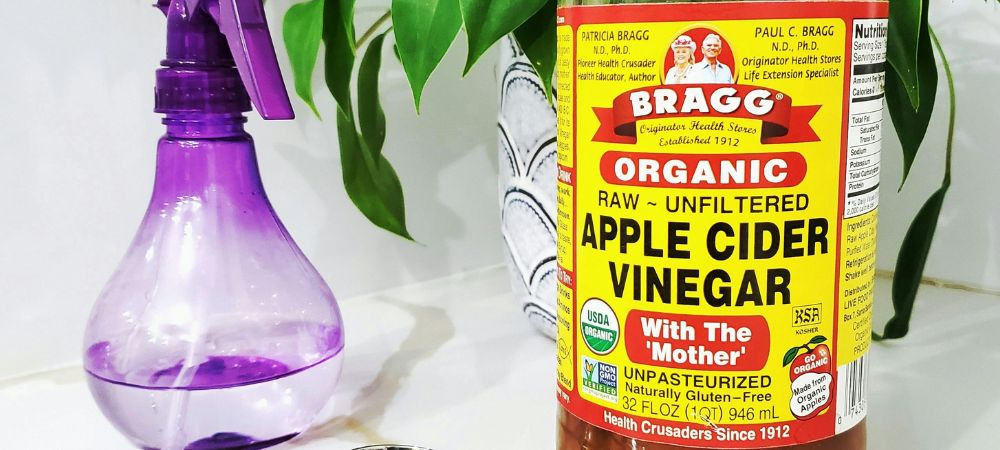 Cómo hacer insecticida con vinagre y jabón