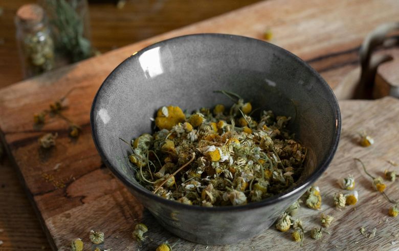 Noticias Cannábicas