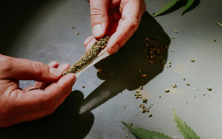 Noticias Cannábicas