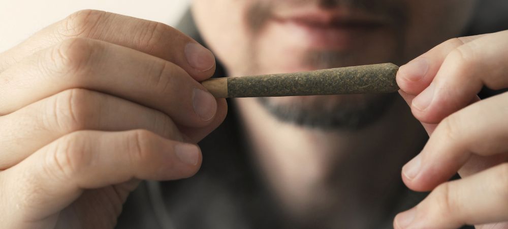 le plus gros joint du monde