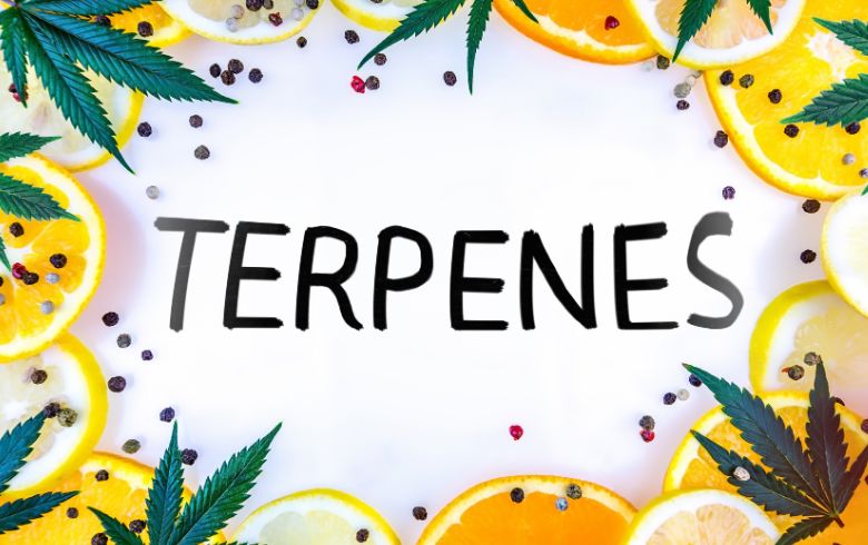 Noticias Cannábicas