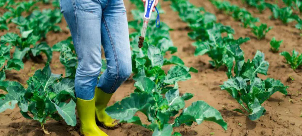 adjusting soil pH