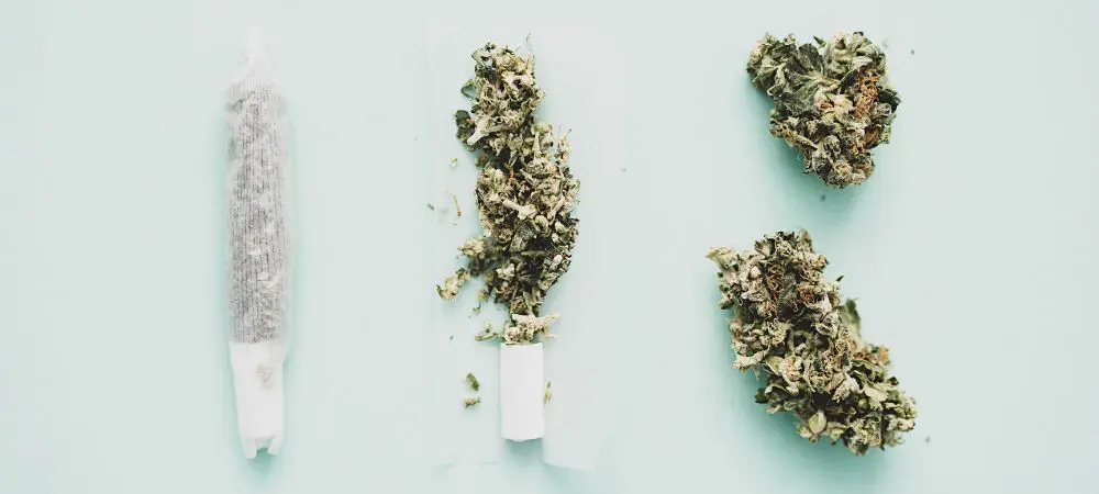 Cómo liar un porro porroflexia