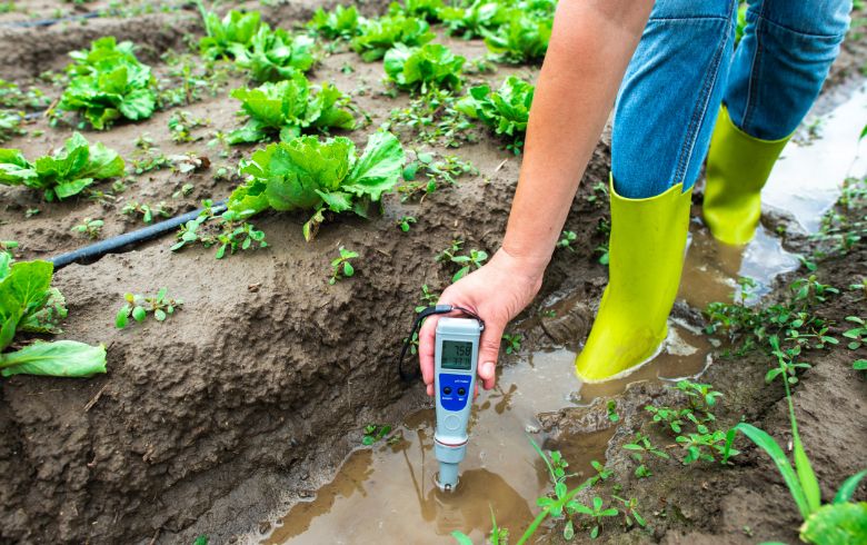 Amtra Eichen Extrakt Tropicalizer Für Süßwasseraquarien – Senkt PH-Wert, 150 Ml
