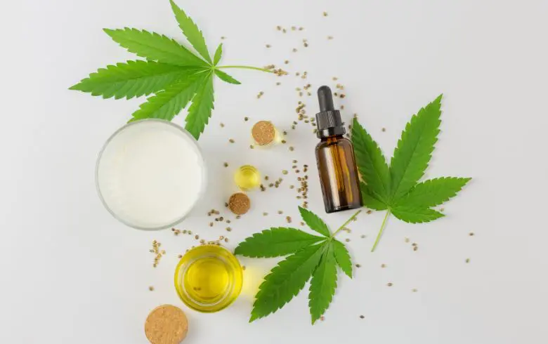 Cómo hacer leche de cáñamo