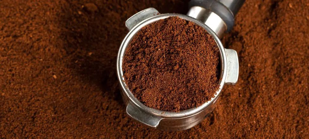 Kaffeesatz kompostieren