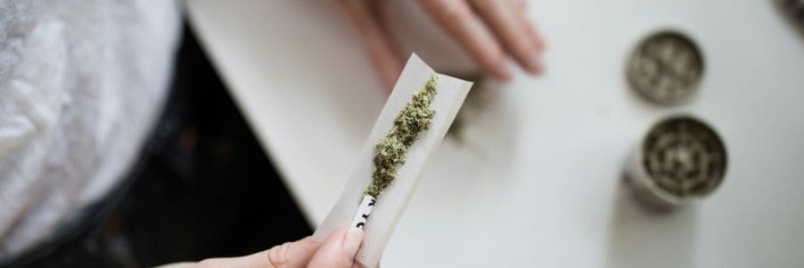 Noticias Cannábicas