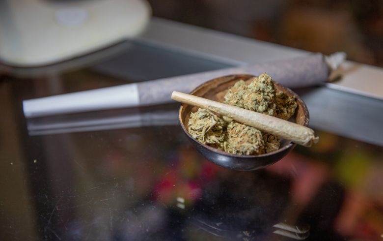 Noticias Cannábicas