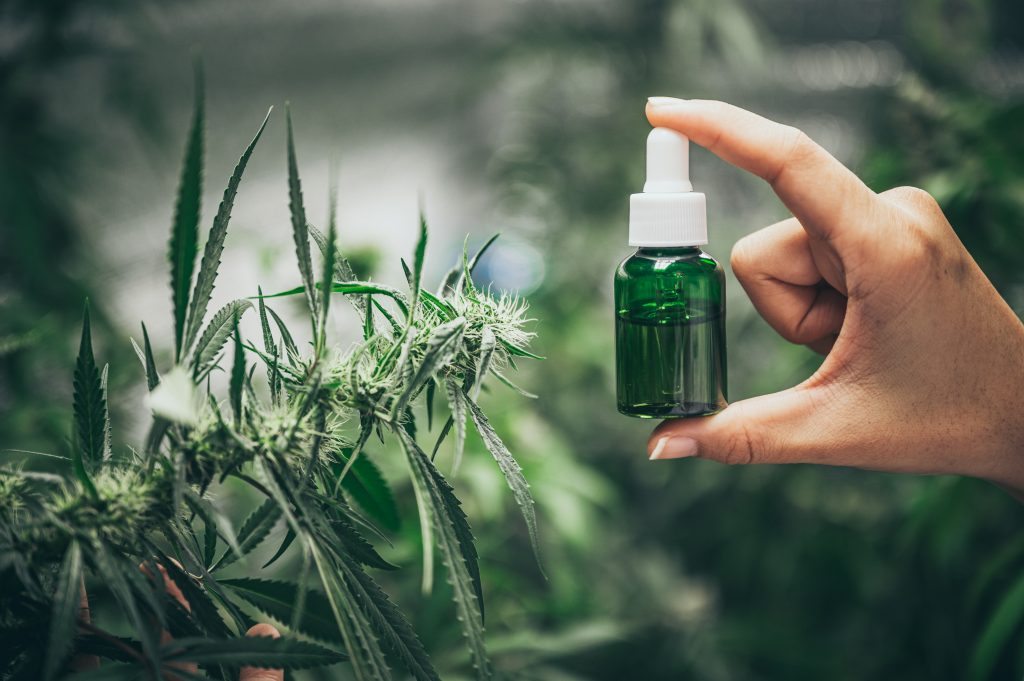 cbd oil