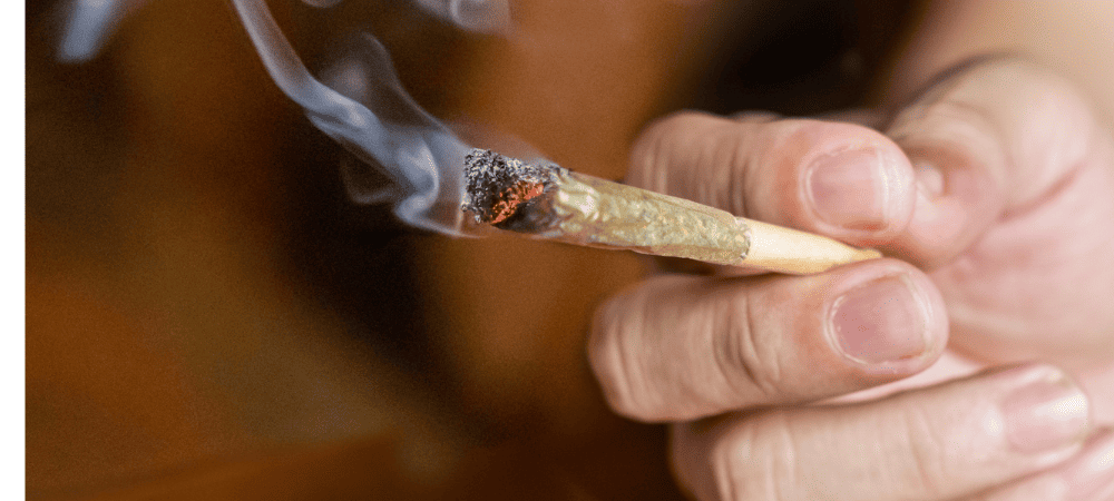 curado de marihuana
