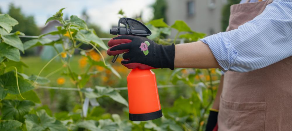 vinagre y bicarbonato para las plantas en el jardín