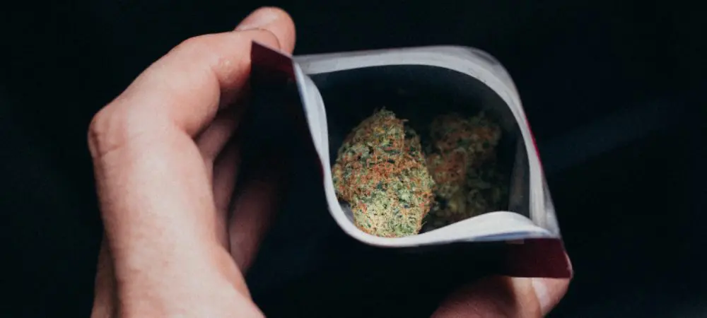curado de marihuana