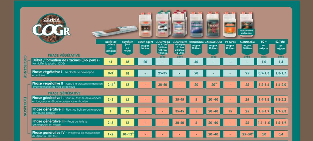 Tableau Canna Coco COGr